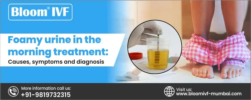 Foamy Urine in the Morning: Causes, Symptoms, Diagnosis, and Treatment