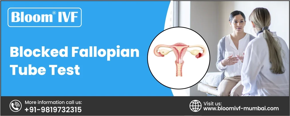 Blocked Fallopian Tube Test: Discover the Essential Things You Need to Know!