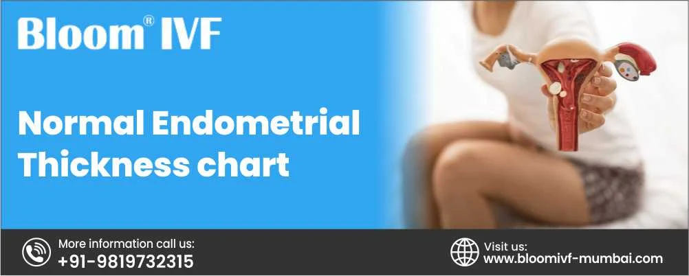 Normal Endometrial Thickness Chart