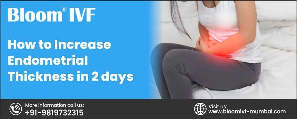 How to Increase Endometrial Thickness in 2 Days