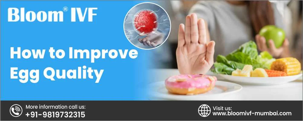 How to Improve Egg Quality
