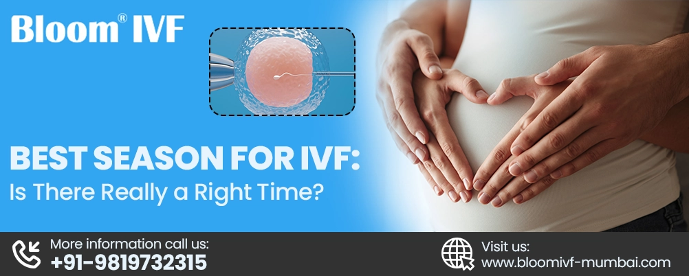 Best Season for IVF